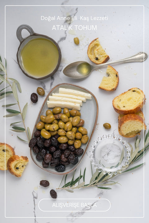 Köy Usulü Doğal Zeytinler